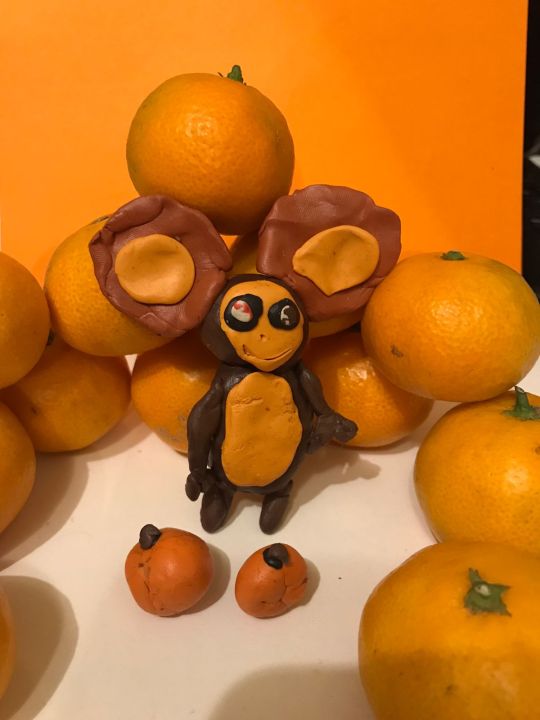 Анна Александровна Новик