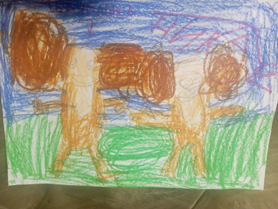 Вероника Тимуровна Бикаева