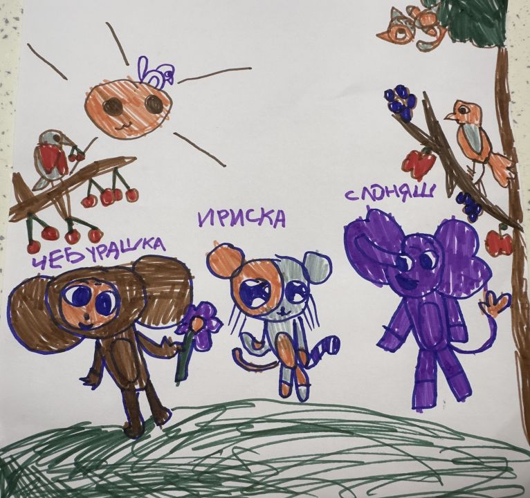 София Евгеньевна Шейбсак