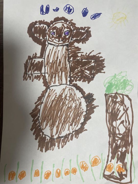 Кирилл Максимович Дворников