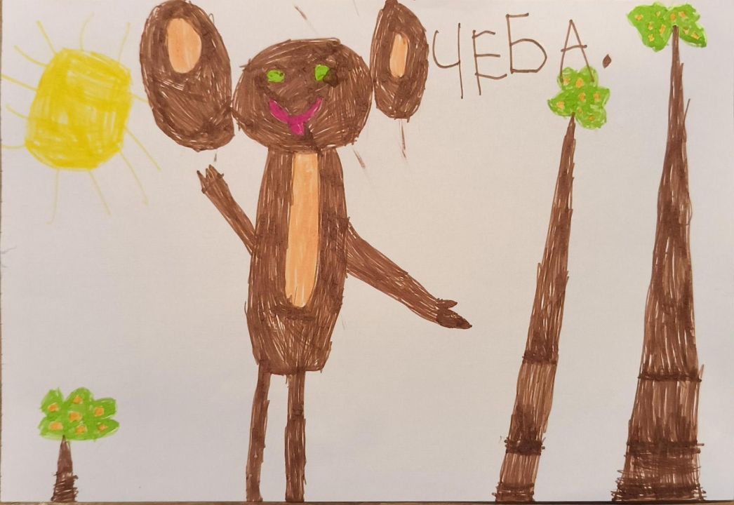 Александр Кудашов