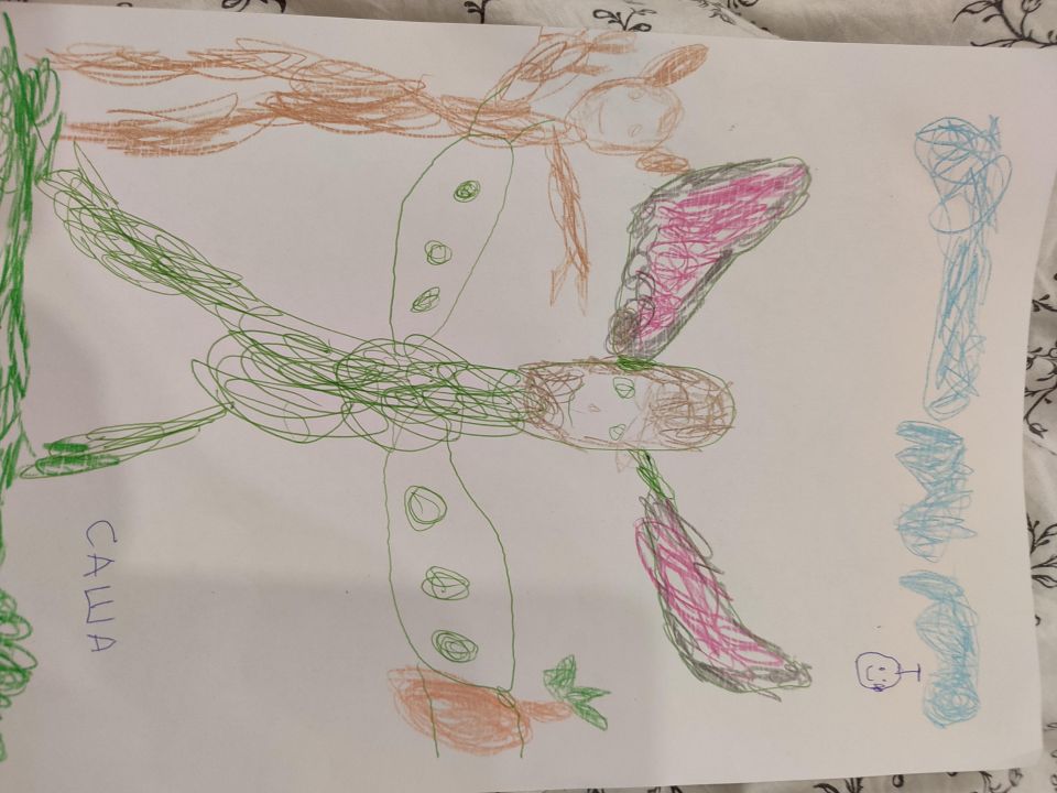 Александр Дмитриевич Хамидулин