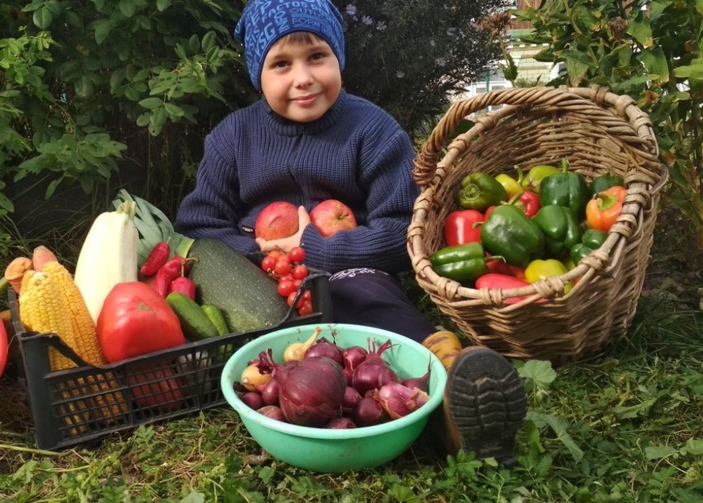 семья фермеров. богатый урожай блюдо. урожай овощей. дачный урожай. корзина для мужчины.