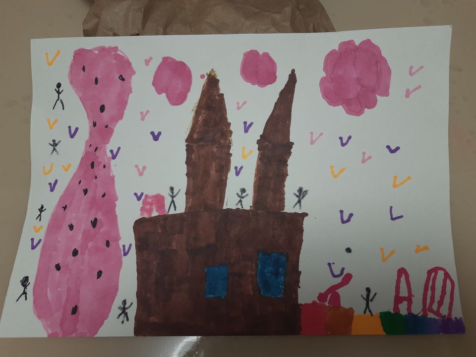 София Шелкоплясова