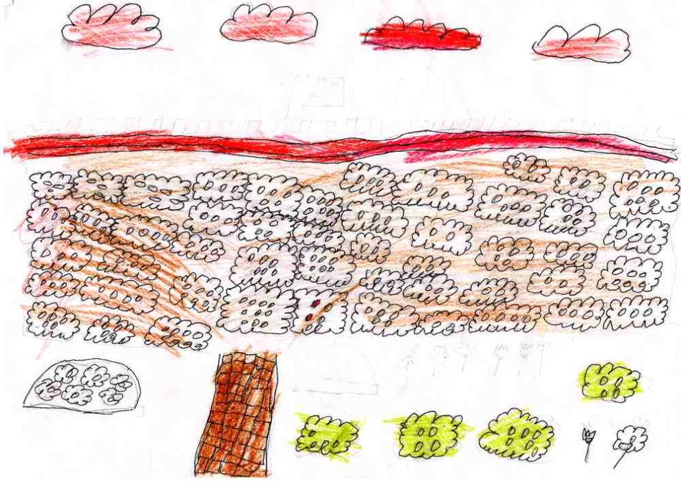 Ярослав Романович Тарнашинский