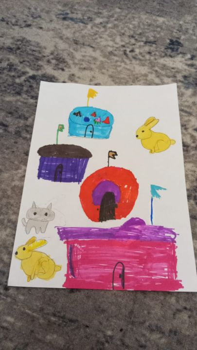 Анастасия Валентиновна Шик