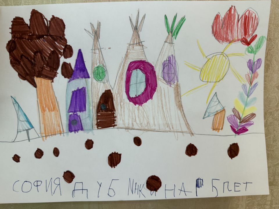 София Дубинкина