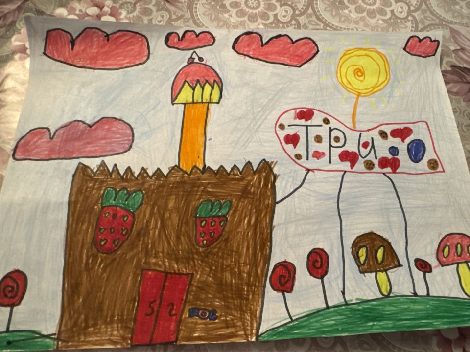 Шапиева Ахмедовна Алина