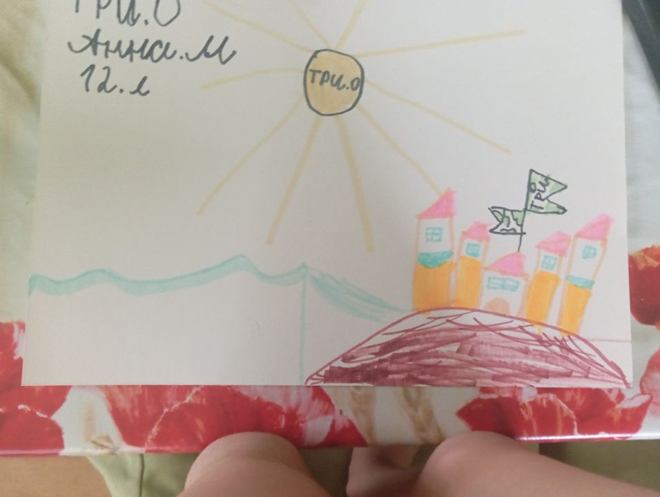 Аня Анатольевна Михеева