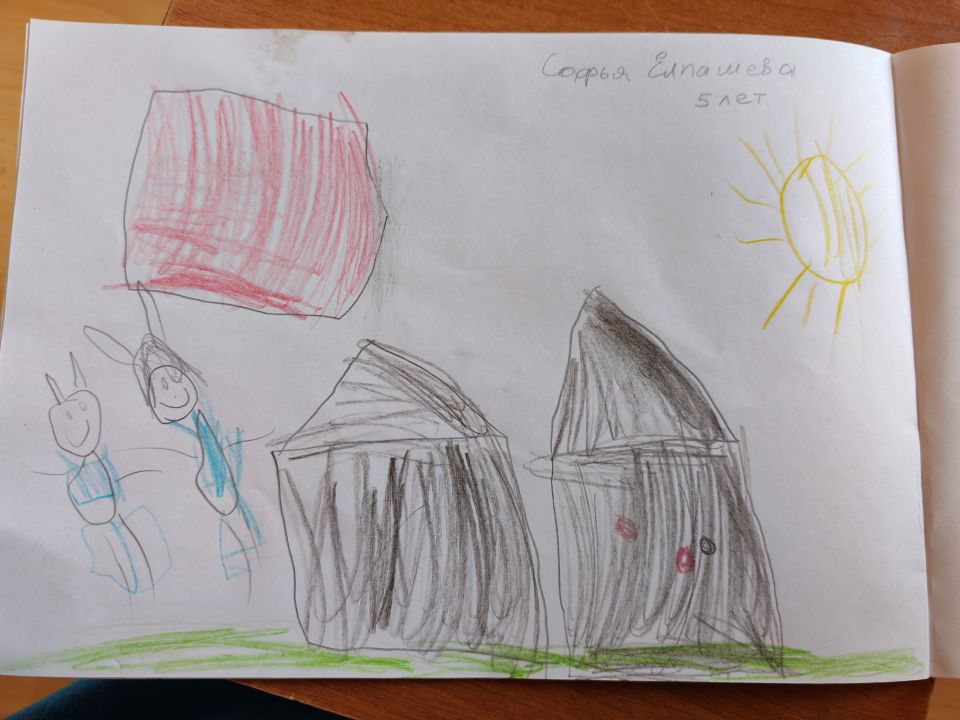 Софья Дмитриевна Елпашева