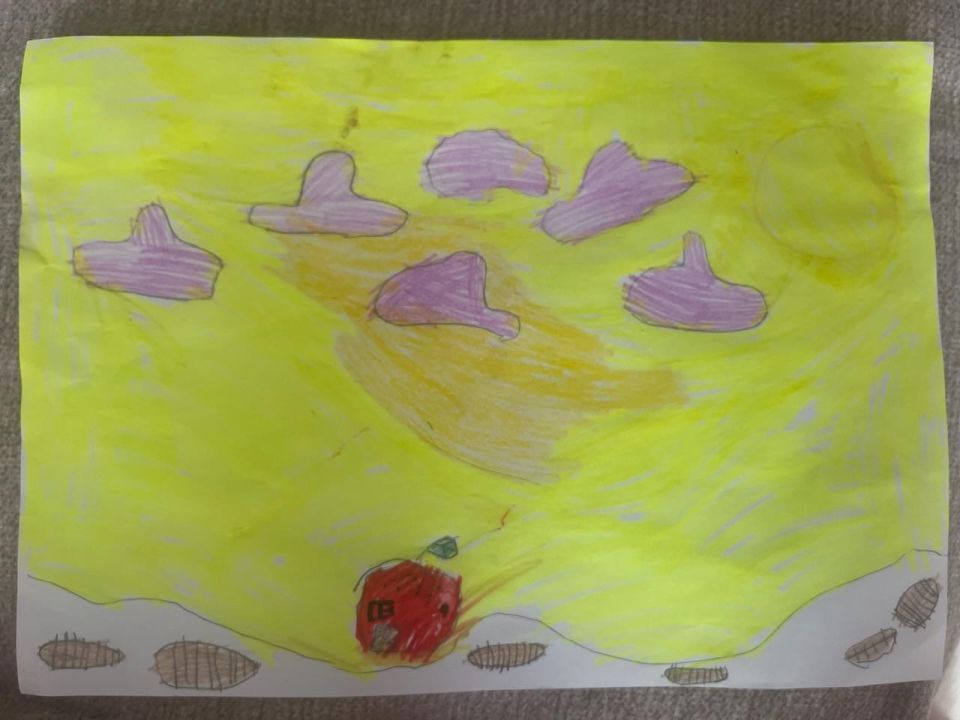 София Е Никитина