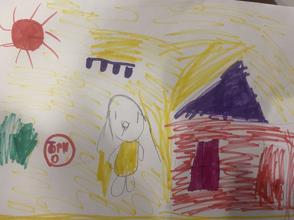 Яна Сергеевна Андреева