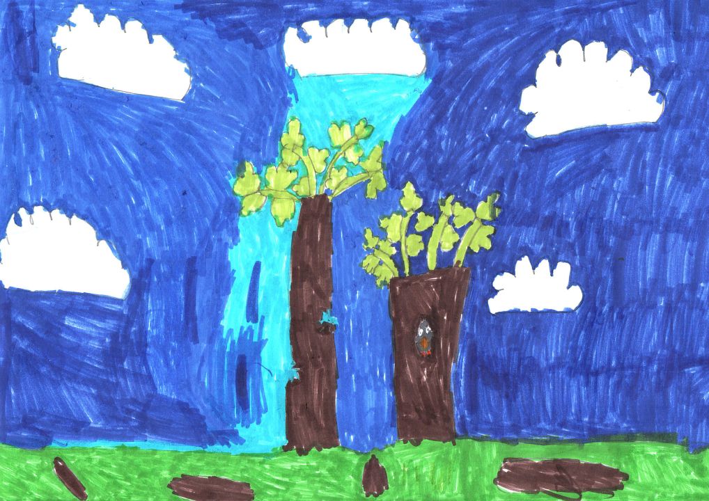 Денис Александрович Дворянинов