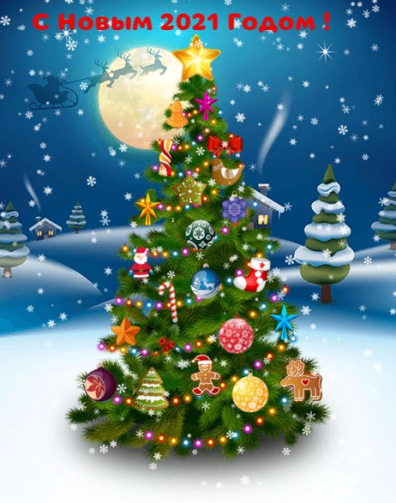 Марьям Магомедхабибовна Габибова