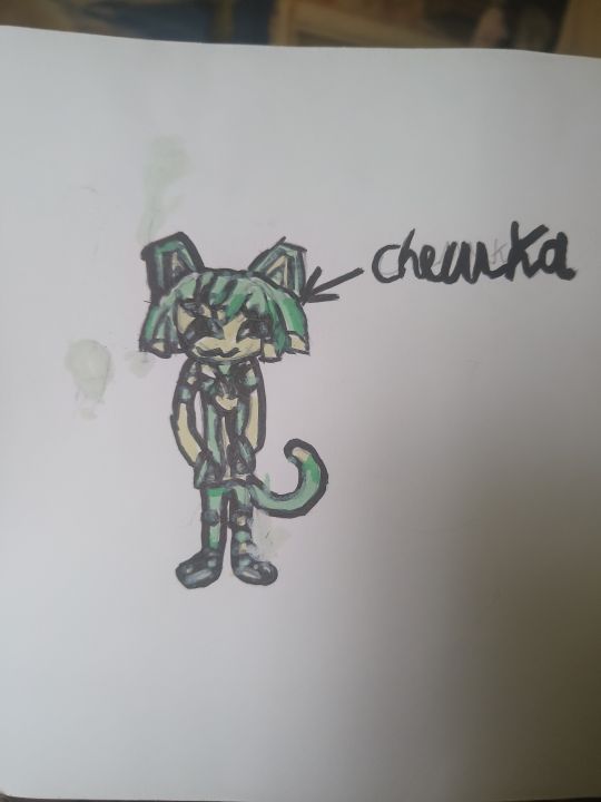 Василиса Шестенок