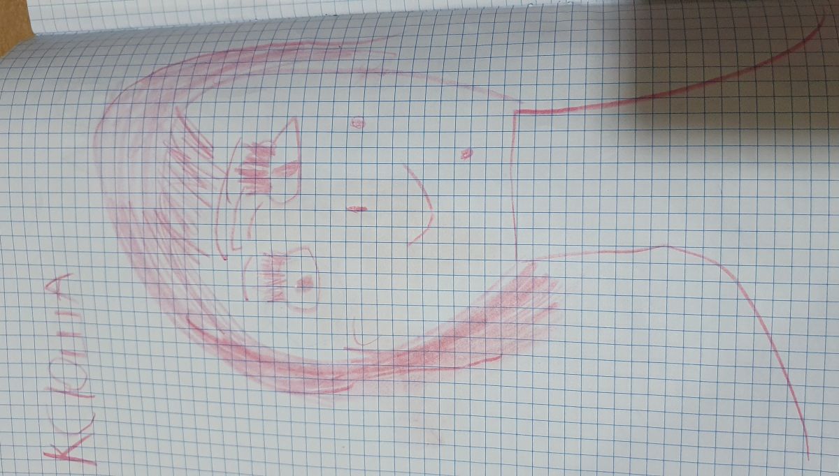 Ксения Владимировна Недайводина