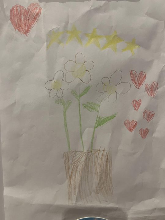 Айталина Сергеевна Горохова