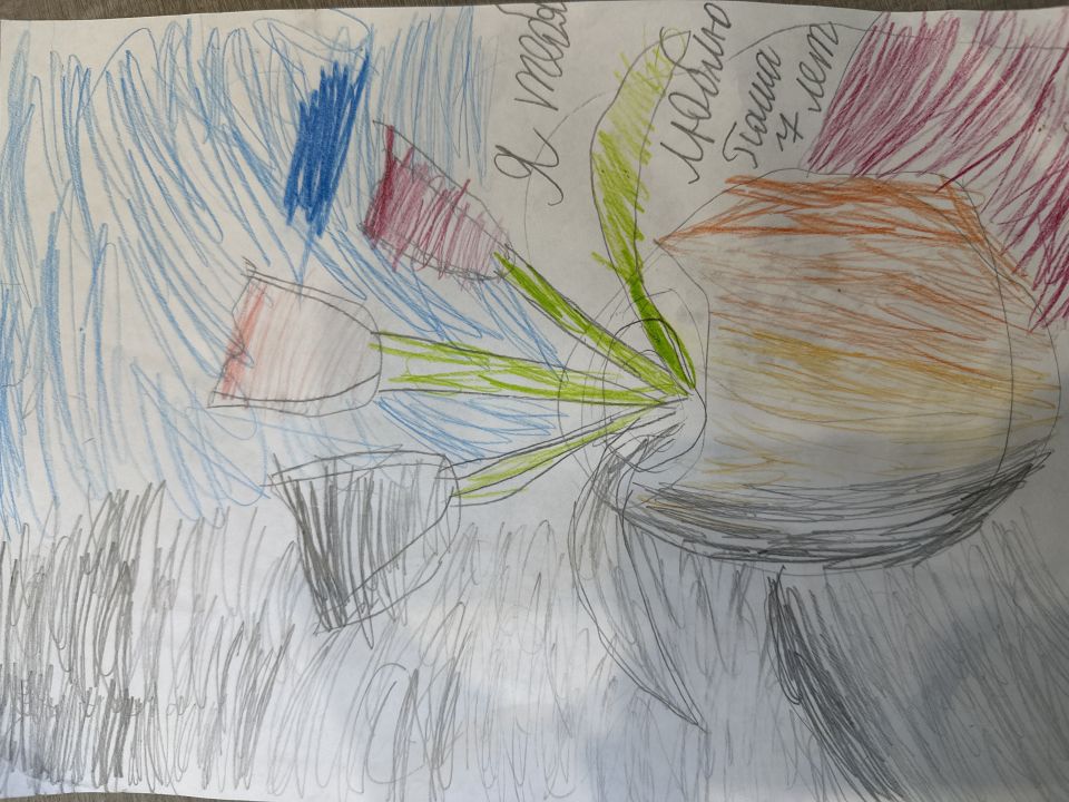 Павел Дмитриевич Вулпе