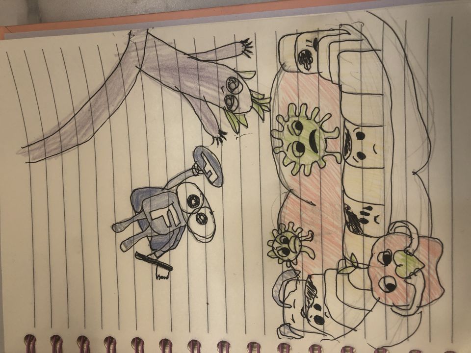 Алиса Евгеньевна Андрюшина