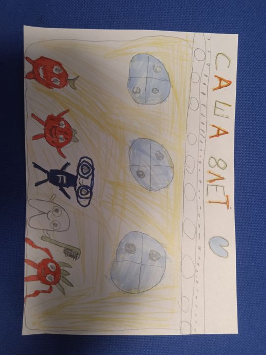 Александр Владимировмч Егоров