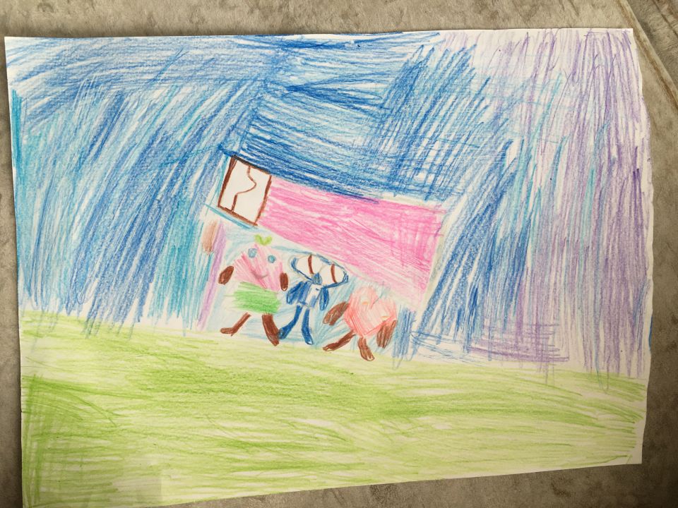 Кира и Мирослава Шульман