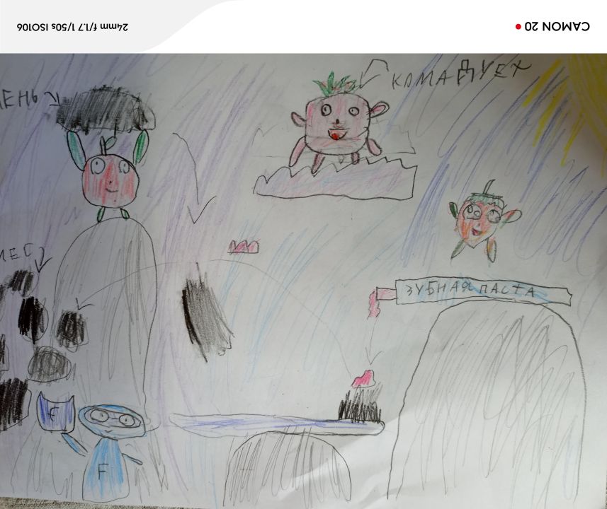 Дарья Шилко