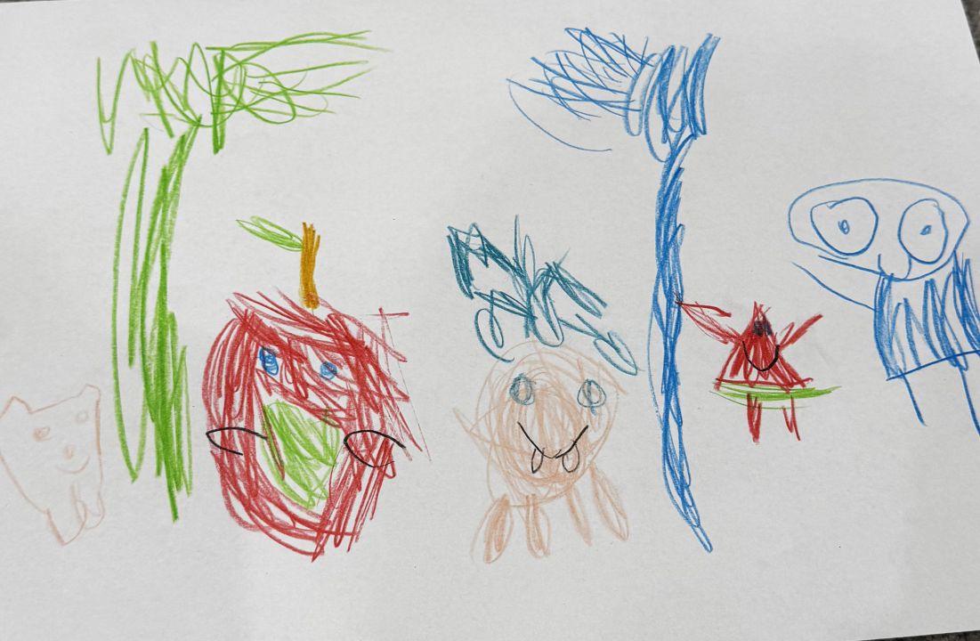 Даша Александровна Колесникова