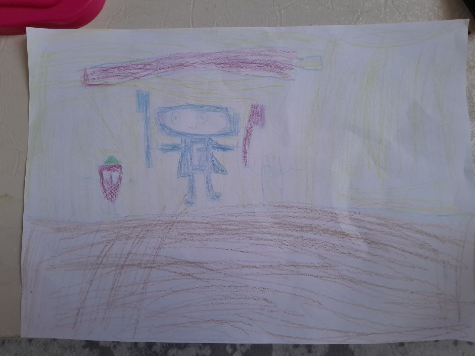 Алсу Аслановна Томаева