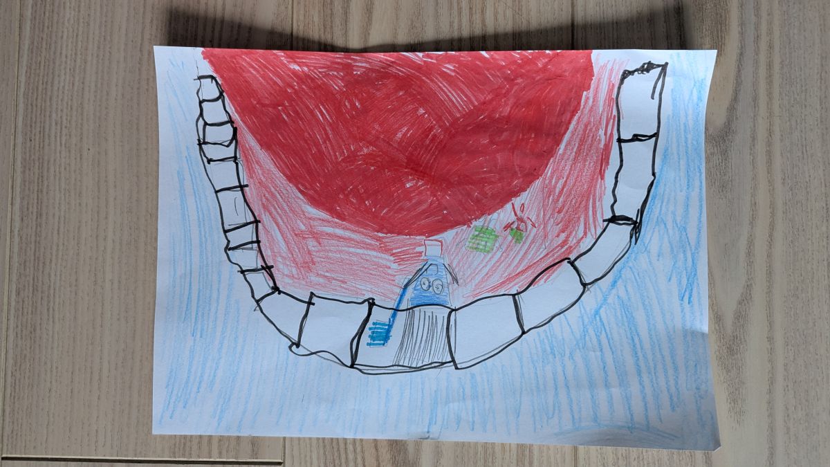 Лейла Явер-кызы Дмитриченко