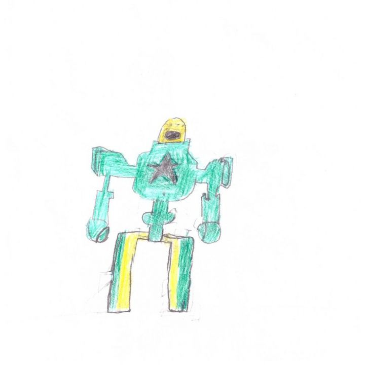 Рафаэль Ильдарович Ибрагимов