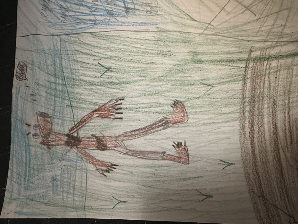 Раяна Ризвановна Шахроева