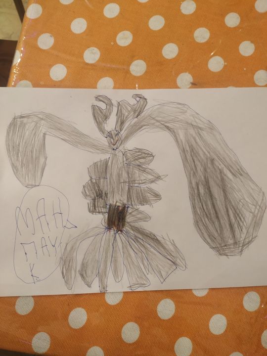 Максим Екатерина Бессчетнов