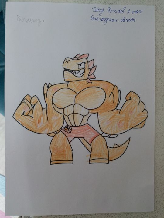 Ярослав Витальевич Ткачук