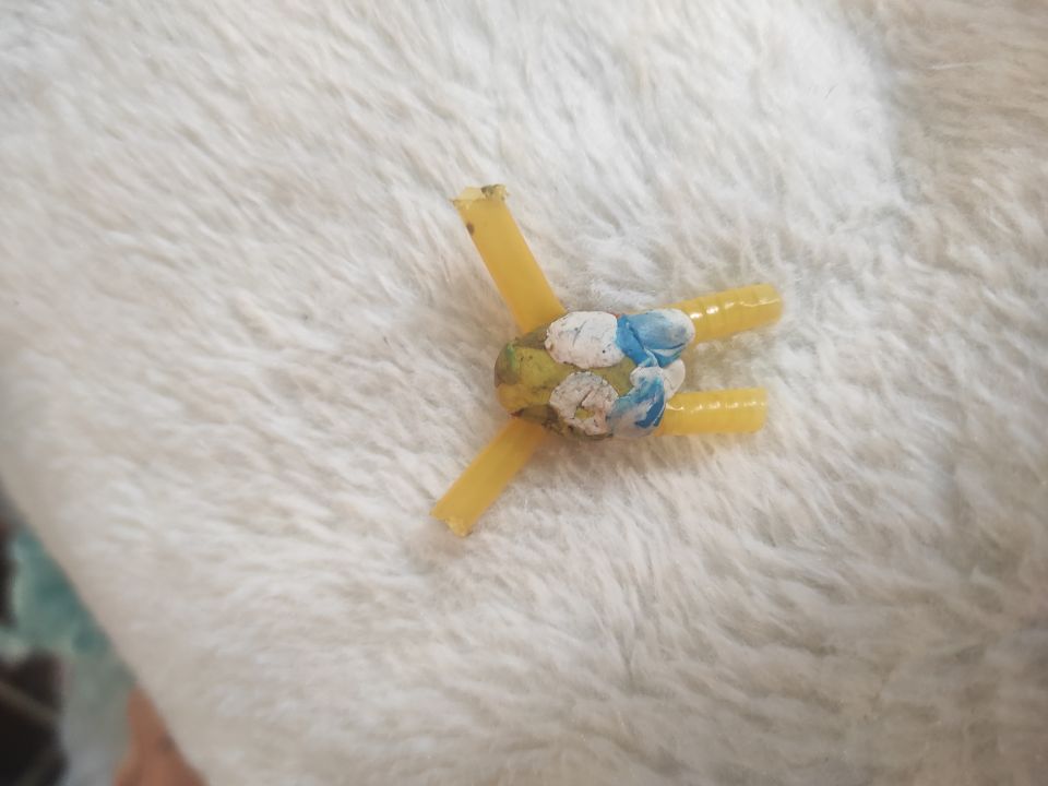 Варвара Александровна Швырева