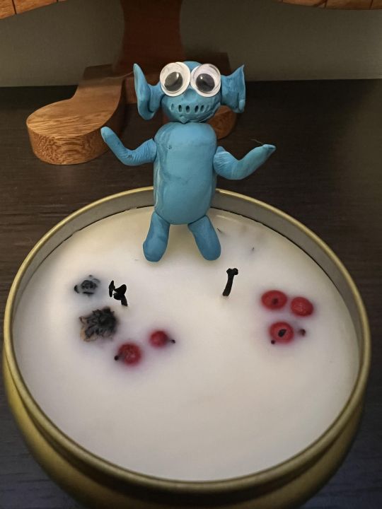 Есения Савицккая