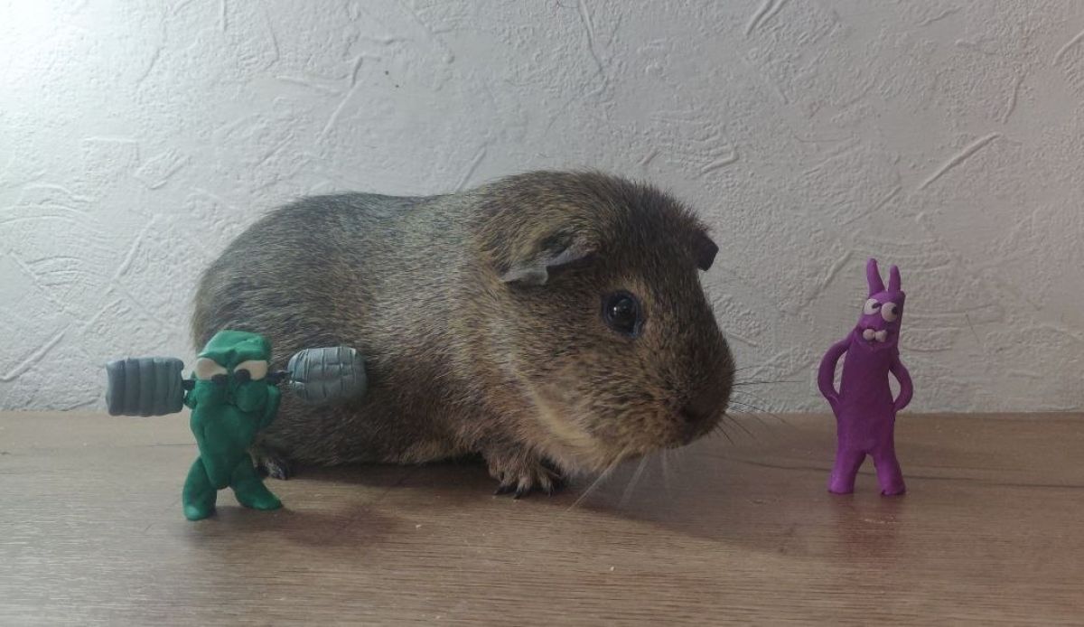 Виктор Алексеевич Бармин