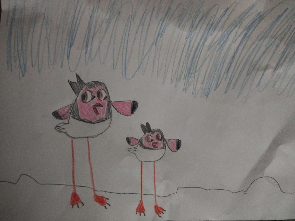 Дарья Цыбулевская