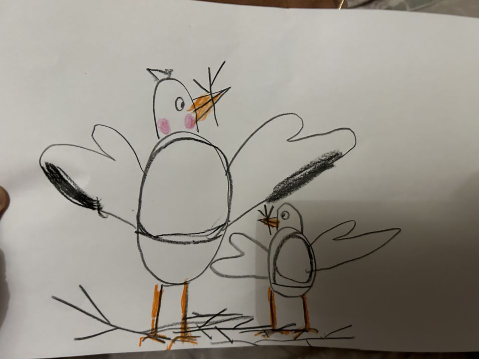 «Алиса  в стране чудес»