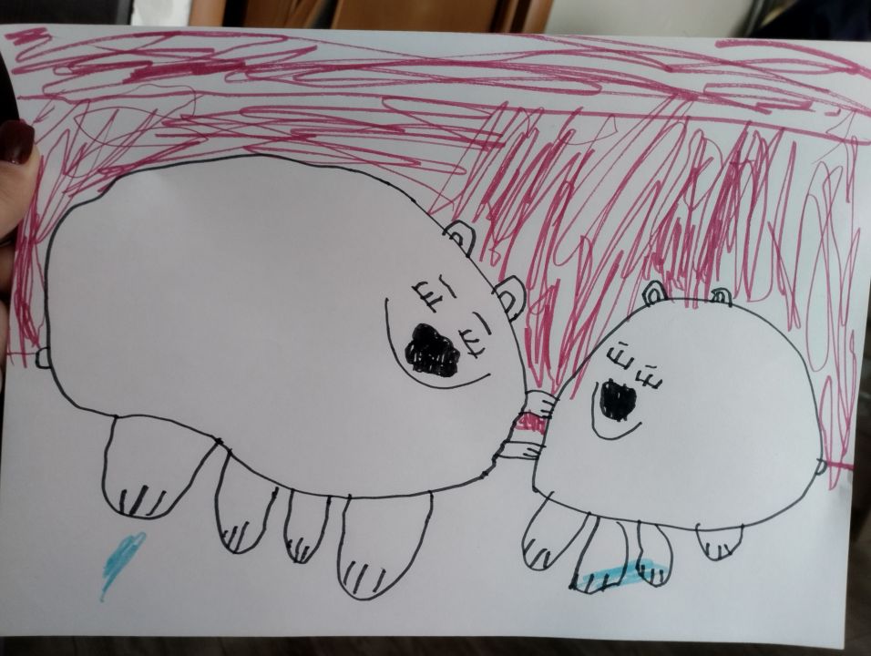 Владислав Гнездилов