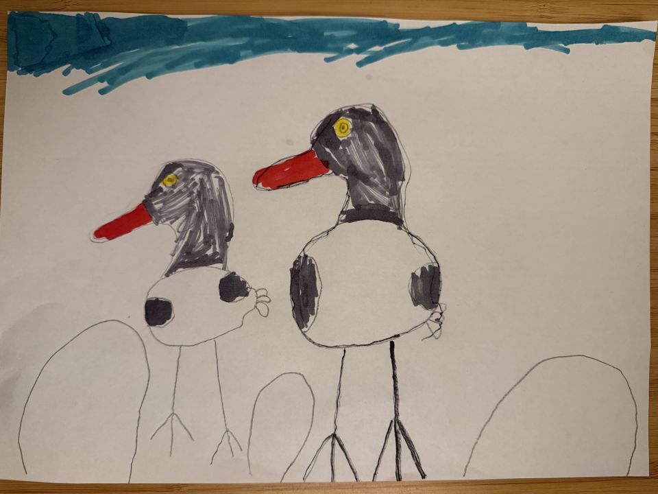 Екатерина Гавриленко