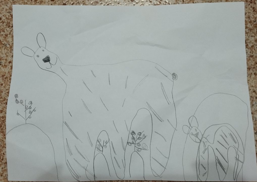 Александра Алямкина