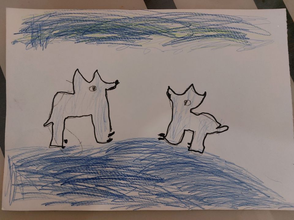 Емельянова Катя