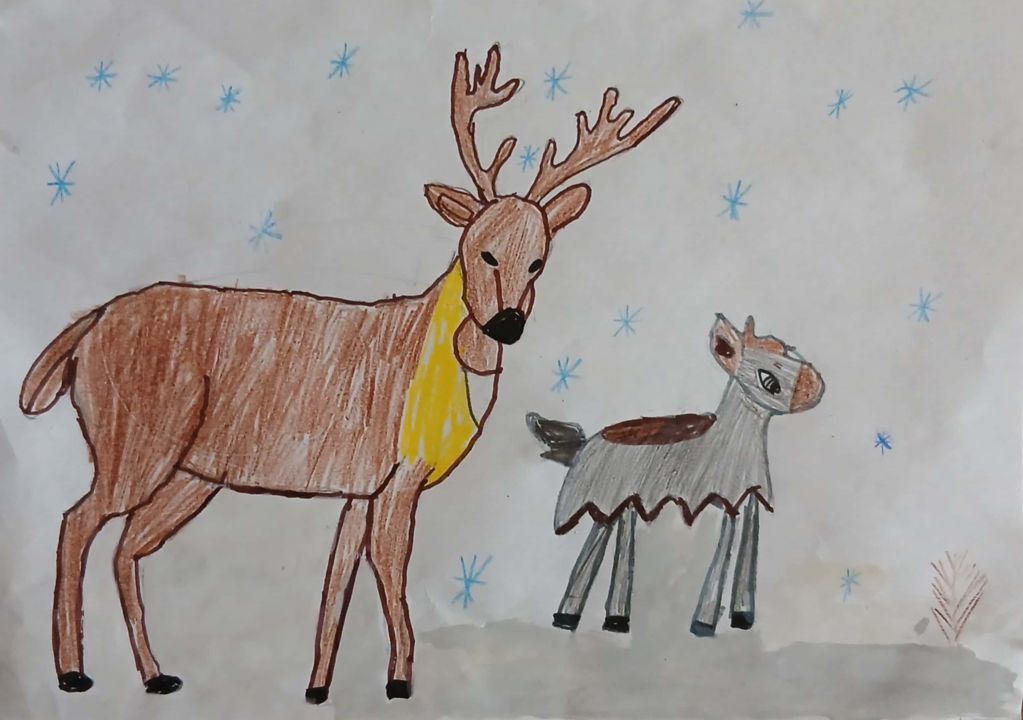 Жеребцов Дима