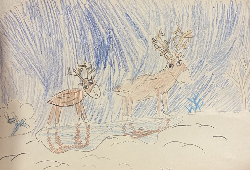 Маша Ермакова