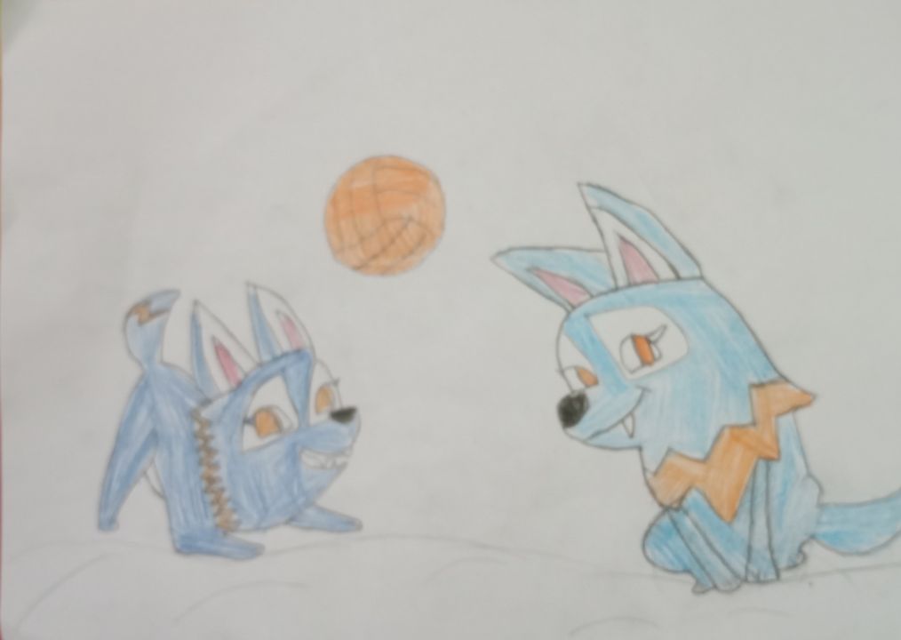 Кокичев Захар