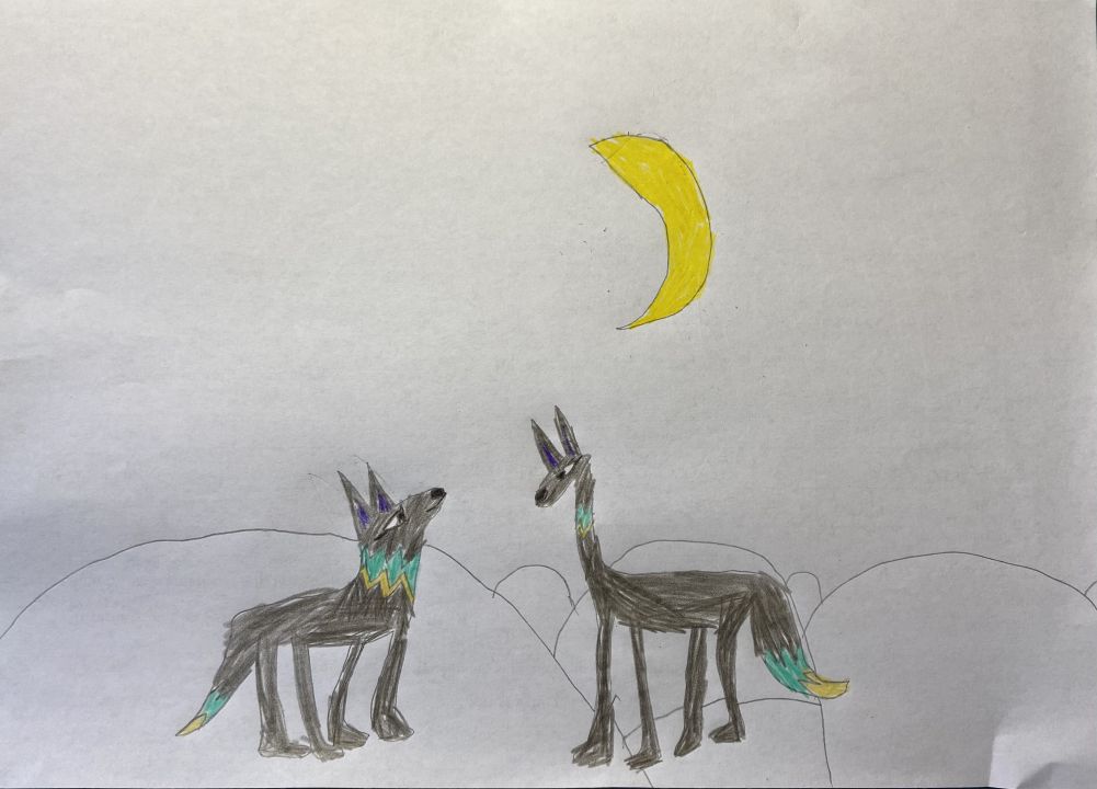 Мирослава Ковалева