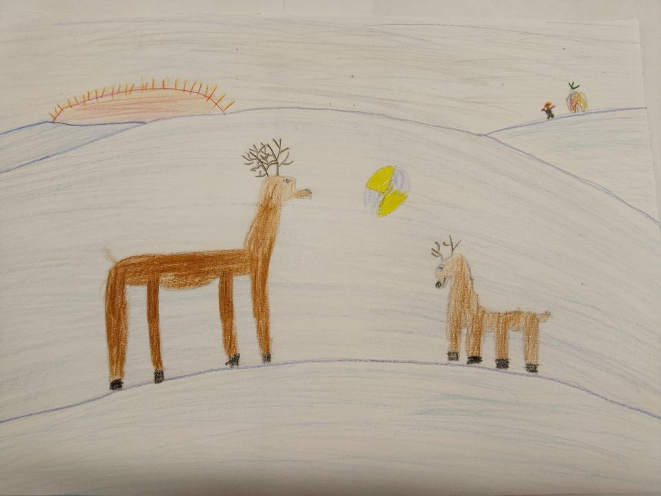 Софья Болтырова