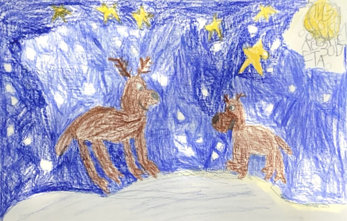 Лиза Соколова