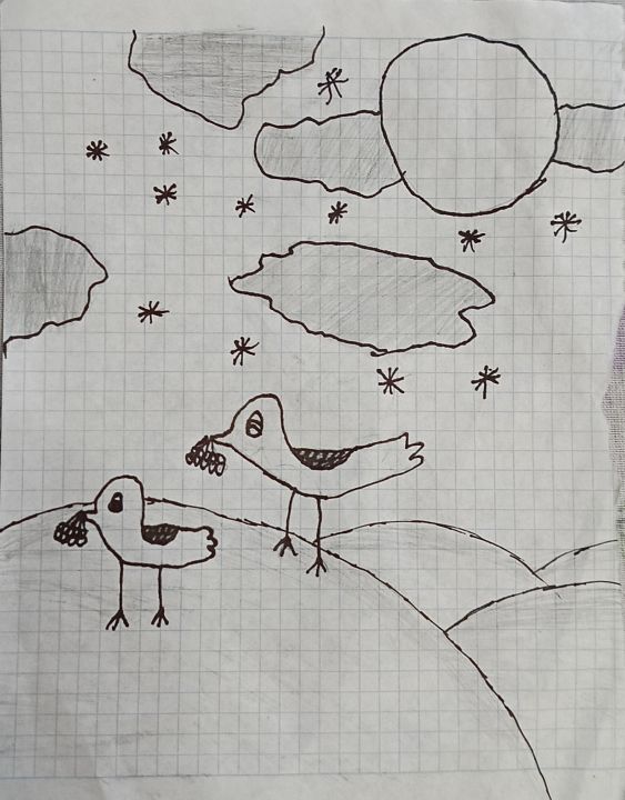 Степанова Софья