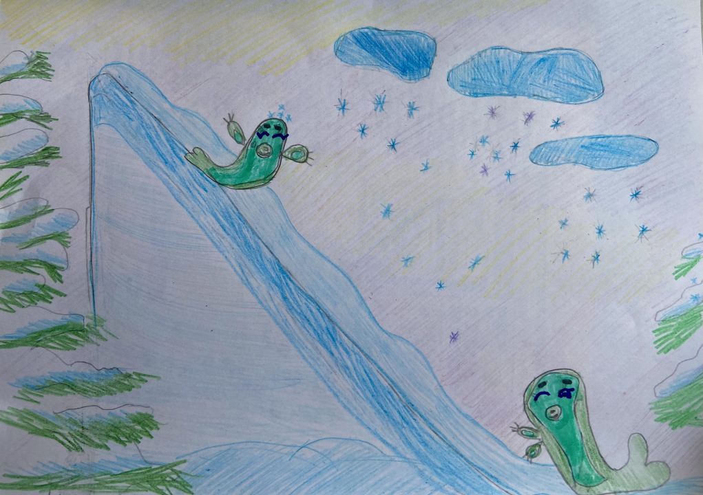 Куценко Анастасия Игоревна